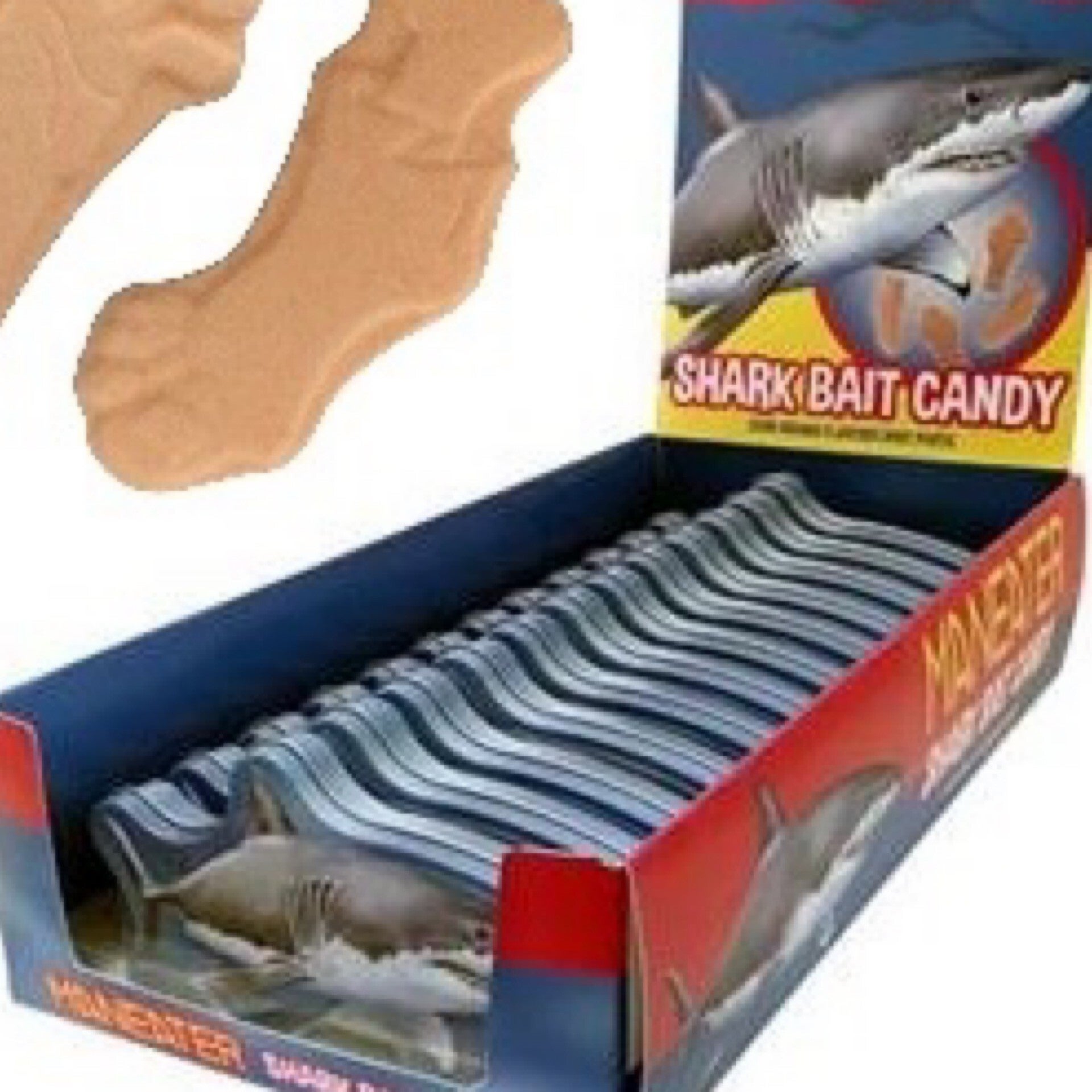 Candy Maneater Shark Bait Candy Tin